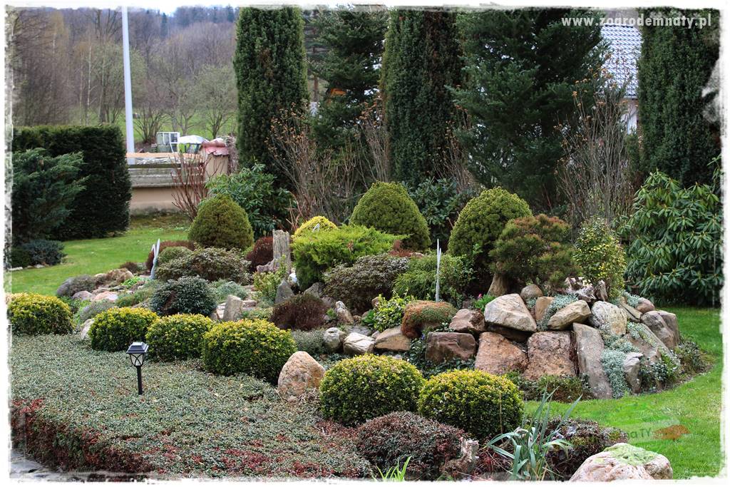 Górskie siedlisko 16