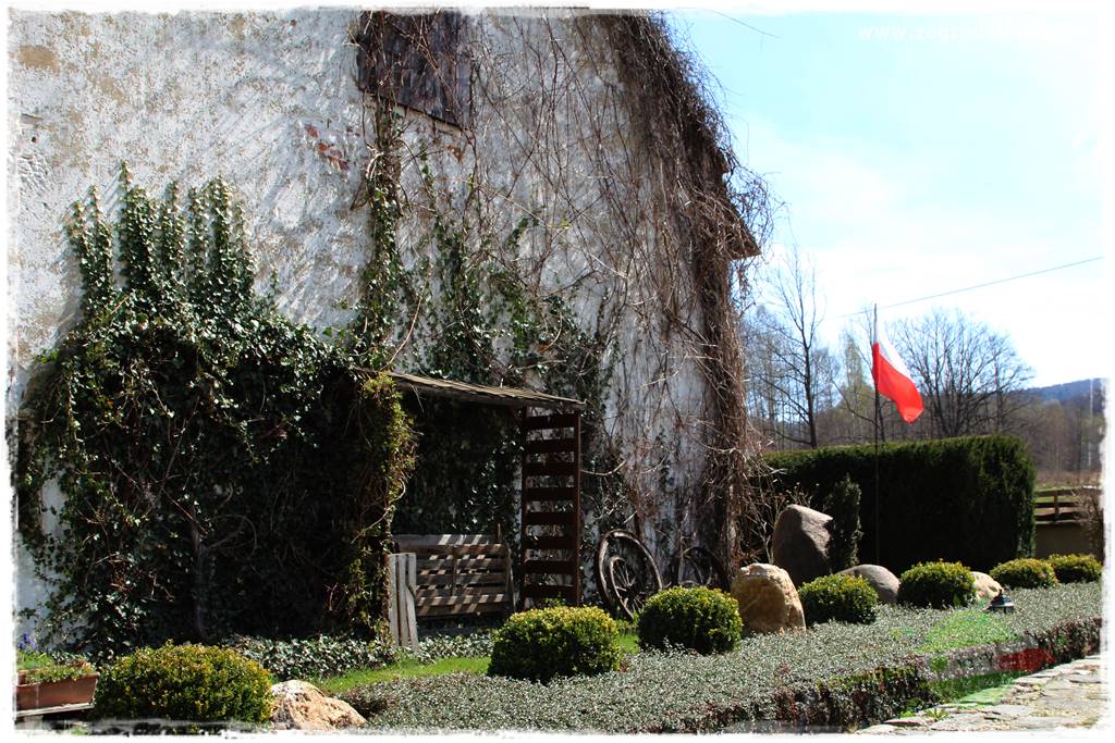 Górskie siedlisko 17