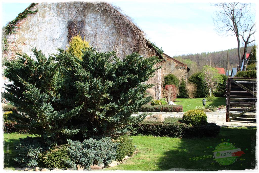 Górskie siedlisko 18