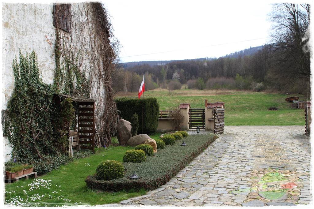 Górskie siedlisko 2