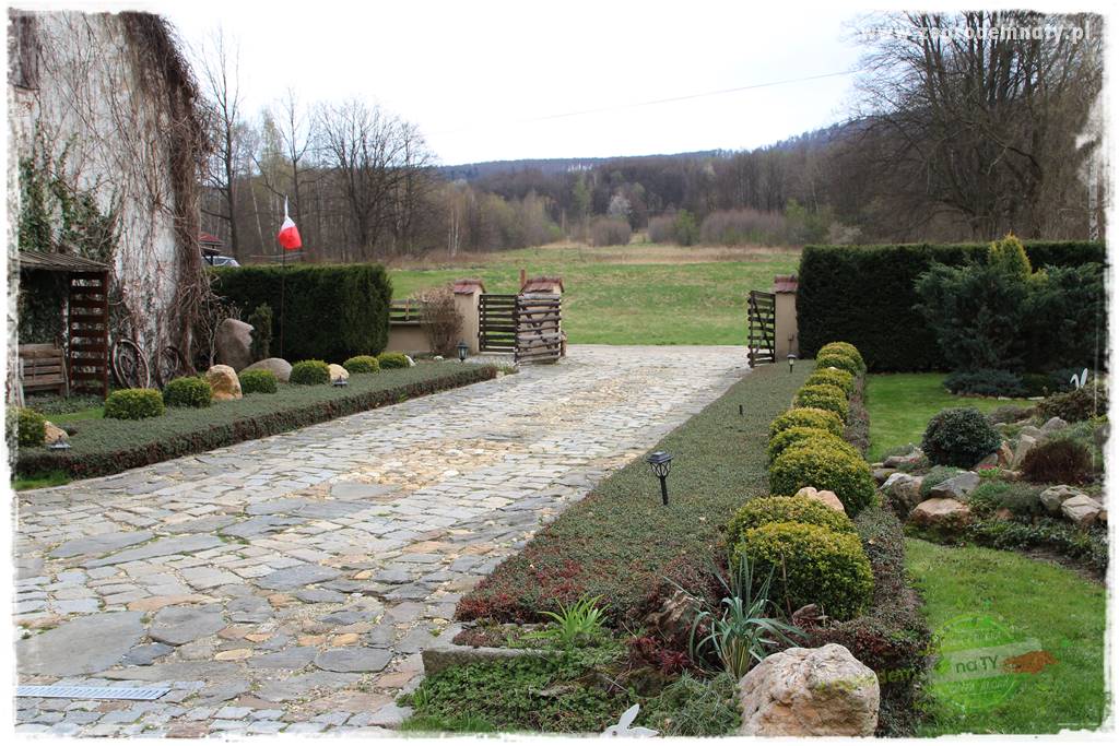 Górskie siedlisko 201