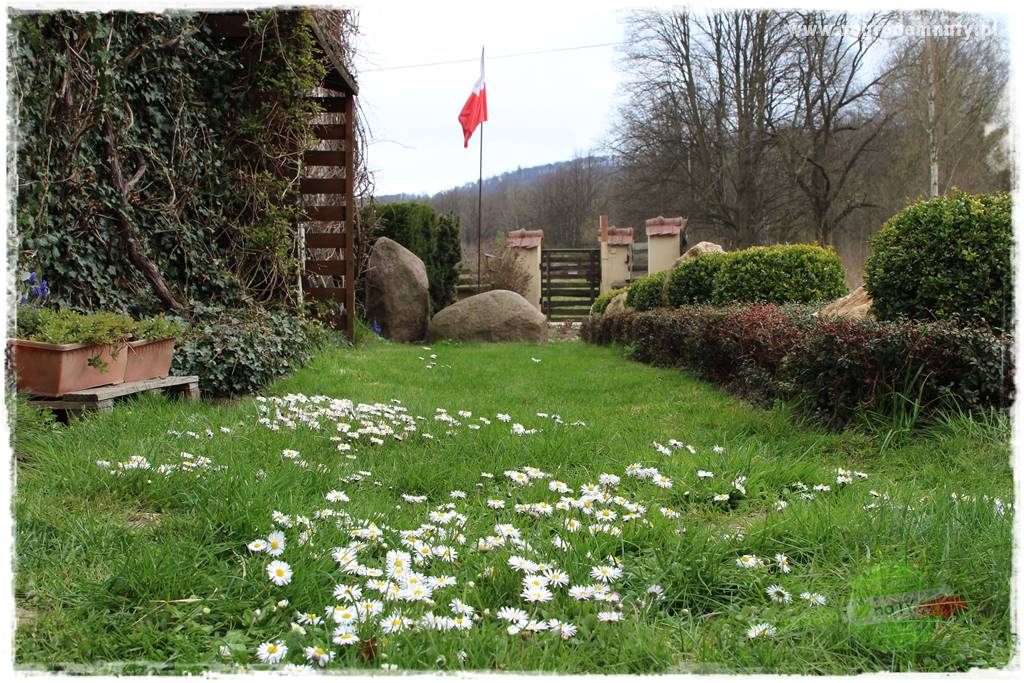 Górskie siedlisko 202