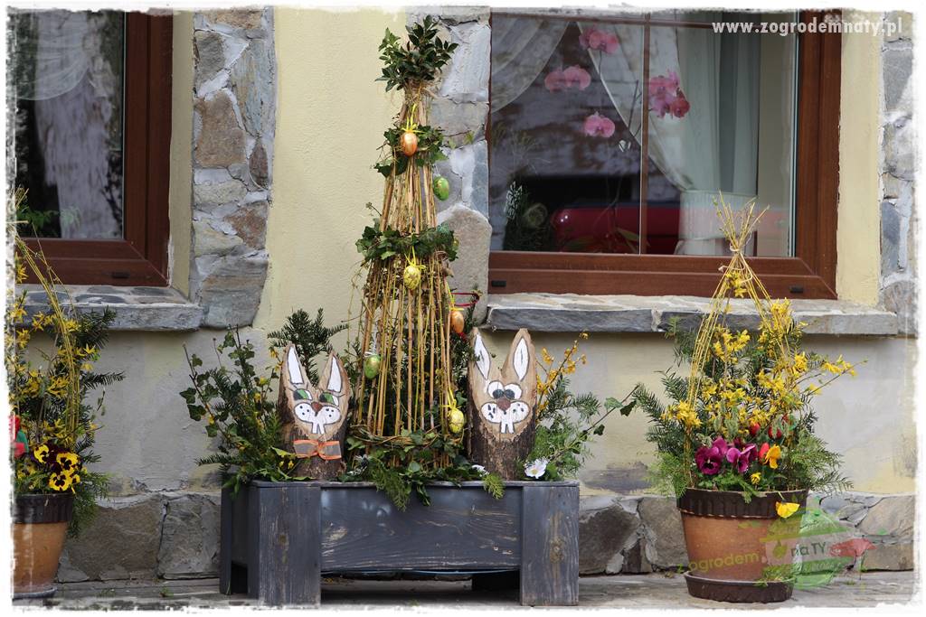 Górskie siedlisko 203