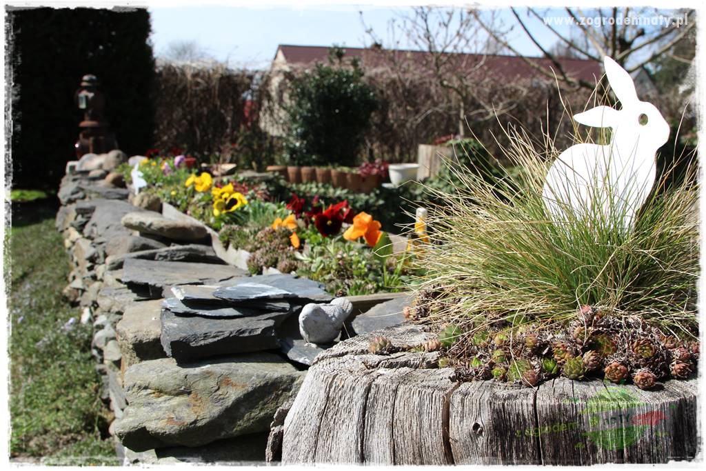 Górskie siedlisko 205