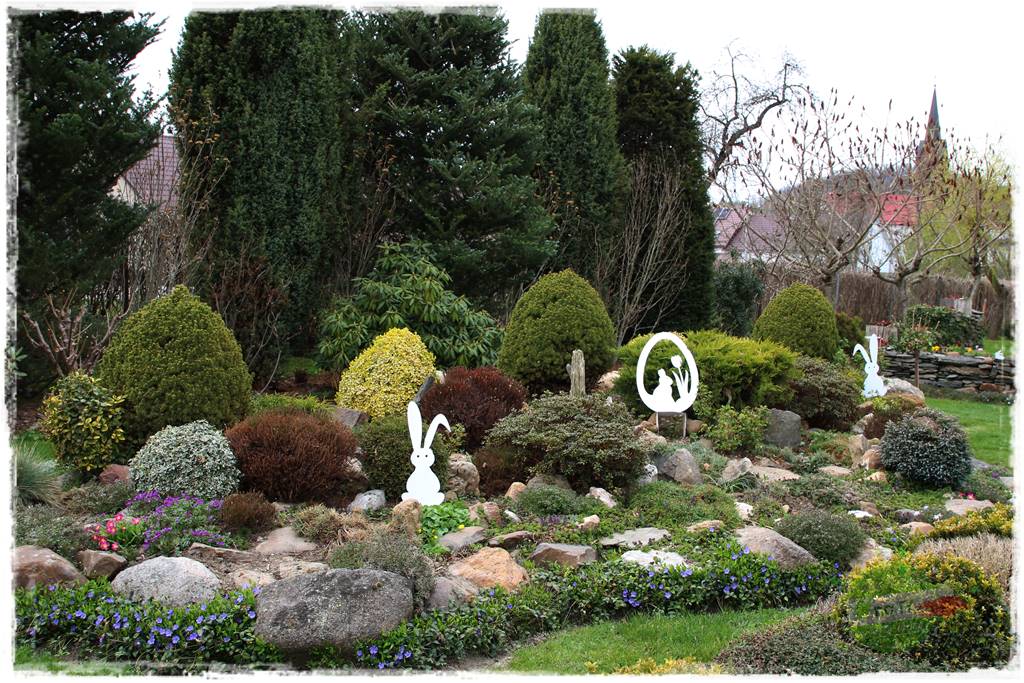 Górskie siedlisko 206