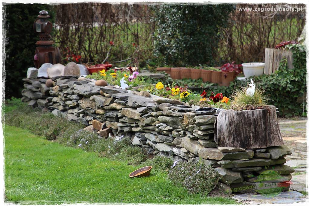 Górskie siedlisko 3