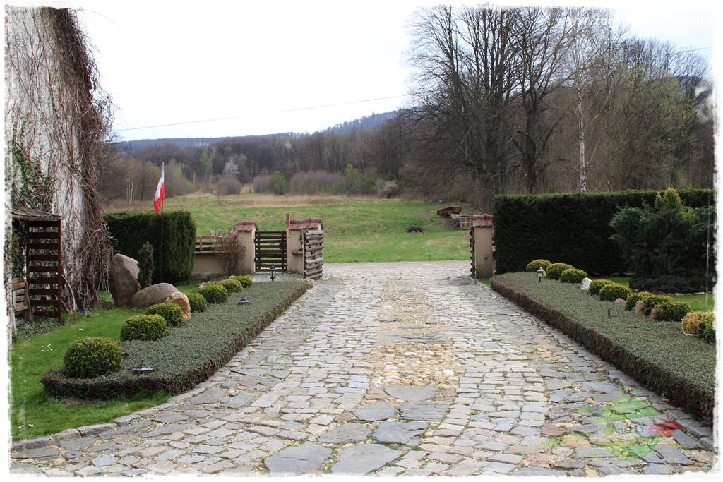 Górskie siedlisko 30