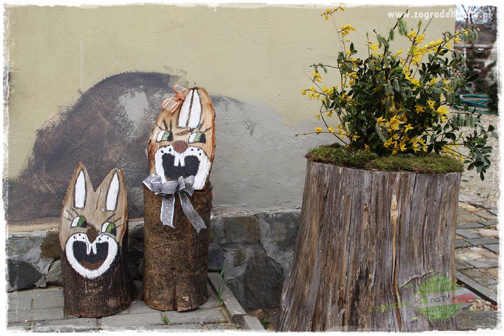 Górskie siedlisko 301