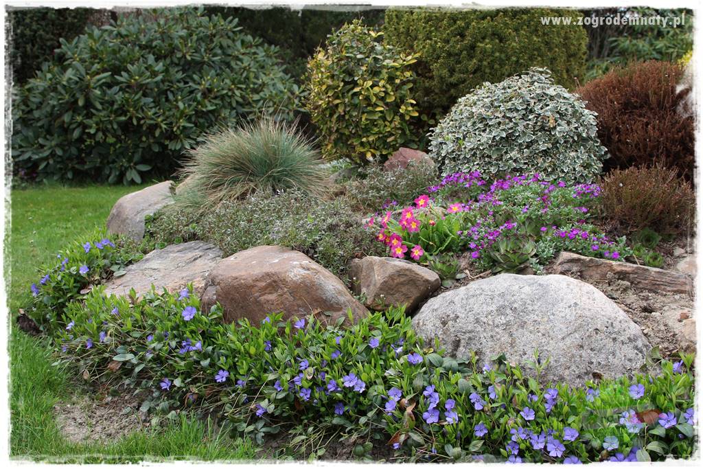 Górskie siedlisko 302