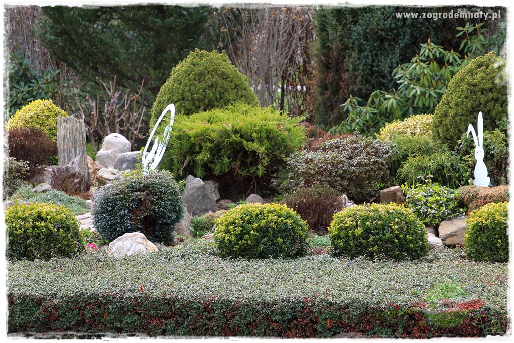 Górskie siedlisko 303