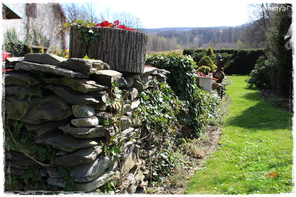 Górskie siedlisko 304