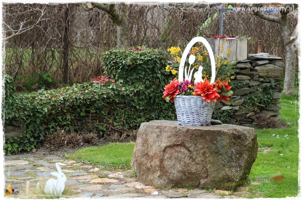 Górskie siedlisko 306