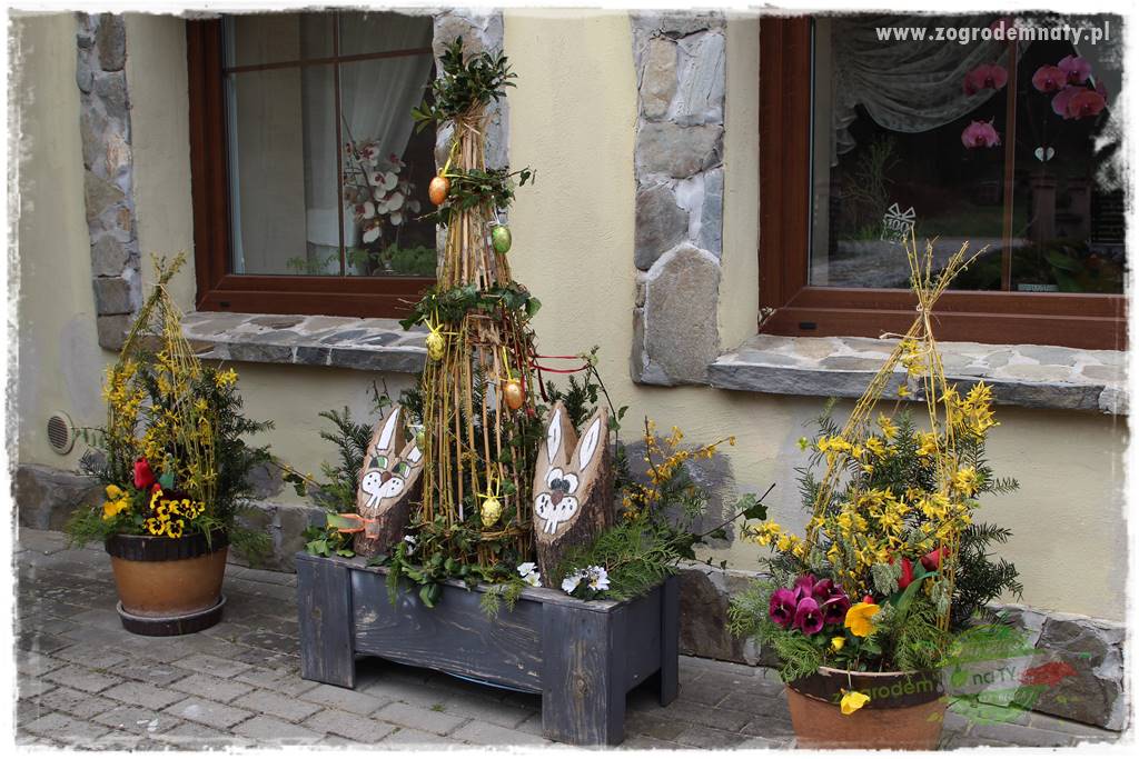 Górskie siedlisko 31