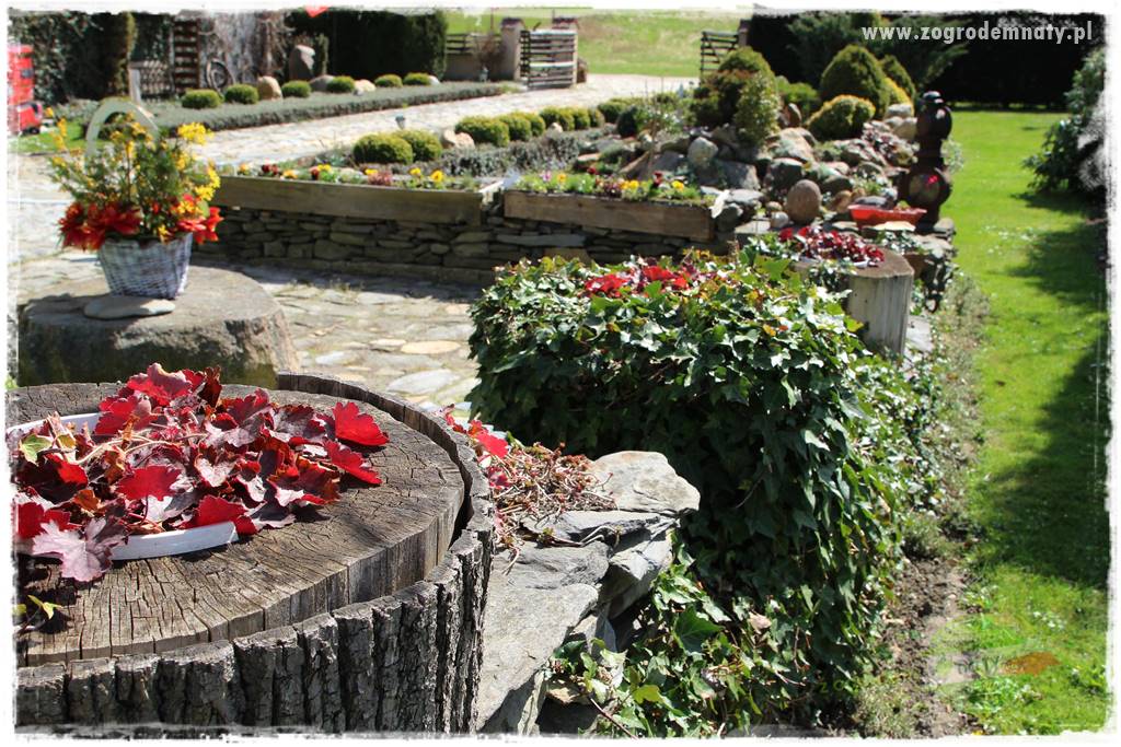 Górskie siedlisko 310