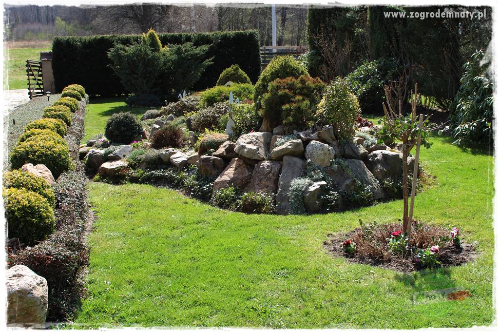 Górskie siedlisko 311