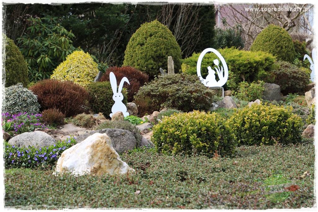 Górskie siedlisko 312