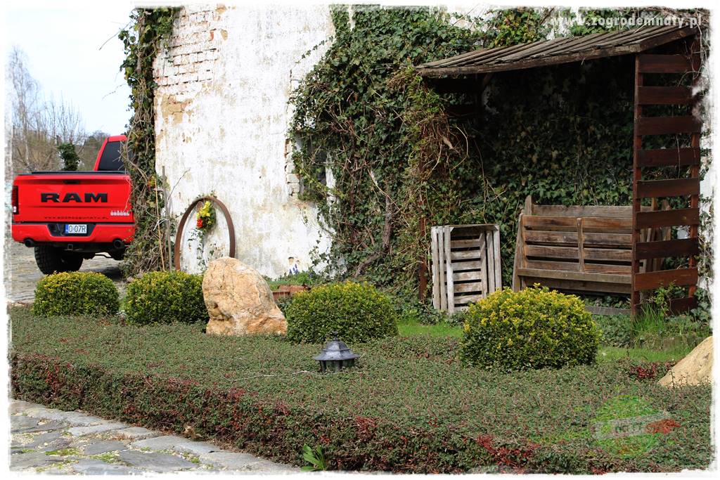 Górskie siedlisko 313