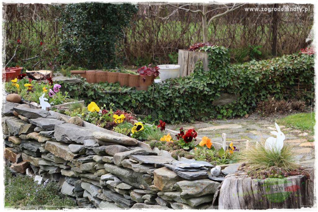 Górskie siedlisko 314