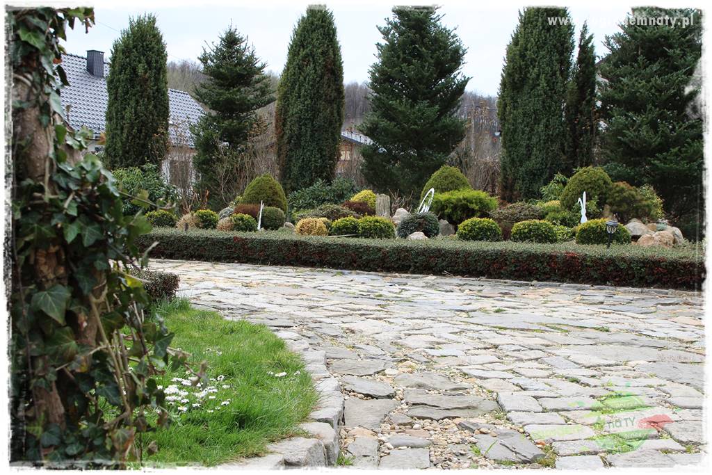 Górskie siedlisko 315