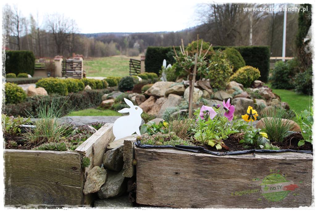 Górskie siedlisko 316