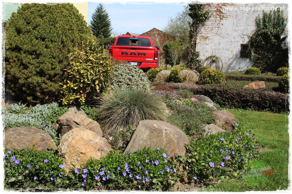 Górskie siedlisko 317