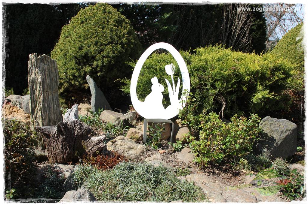 Górskie siedlisko 318