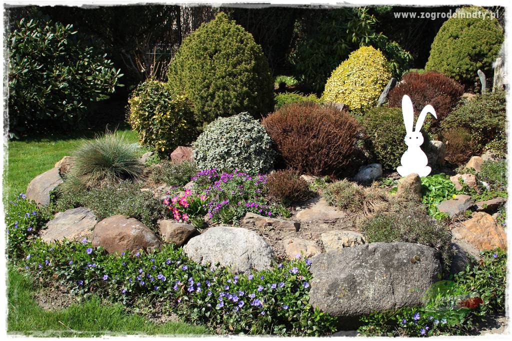 Górskie siedlisko 32