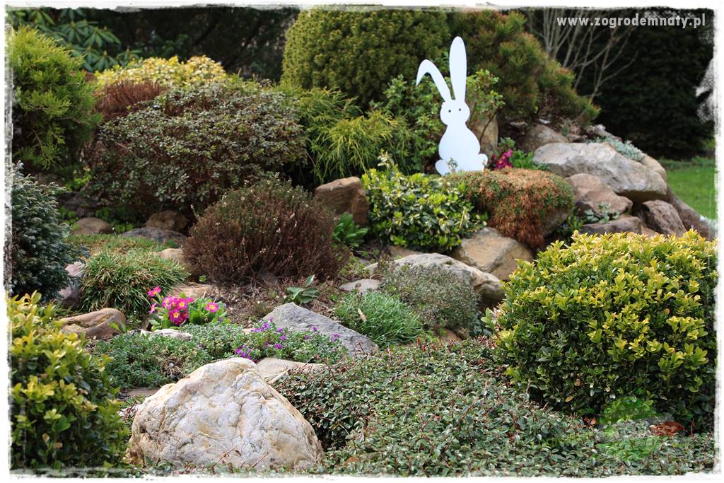 Górskie siedlisko 322