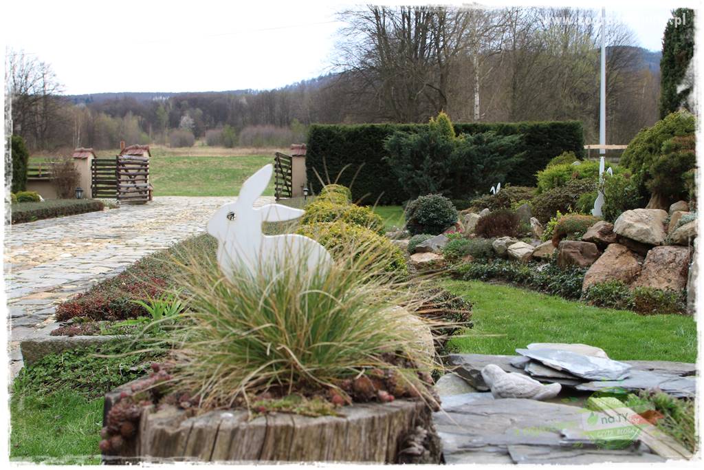 Górskie siedlisko 324