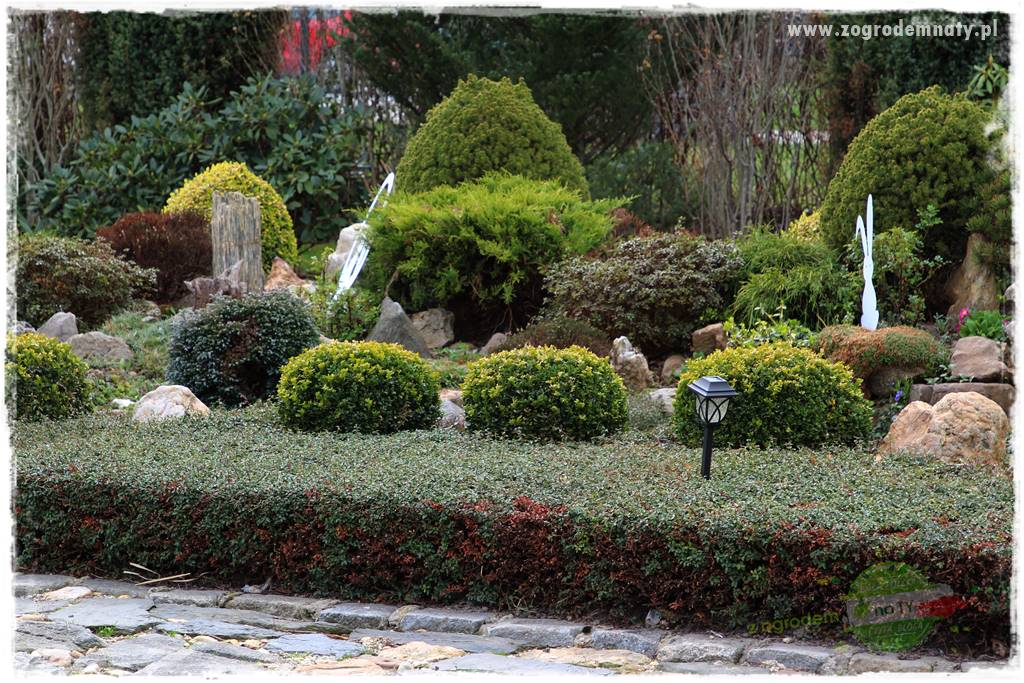 Górskie siedlisko 326