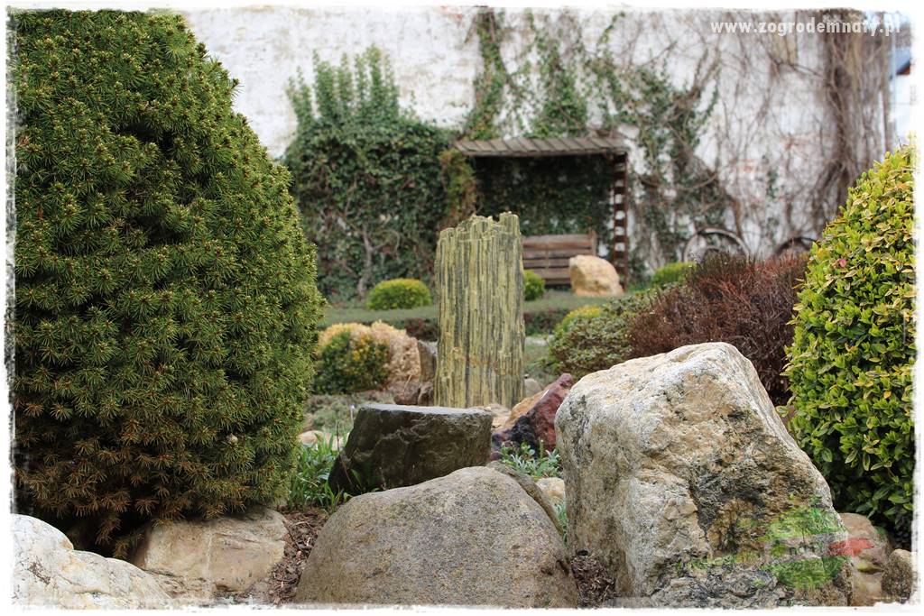 Górskie siedlisko 327