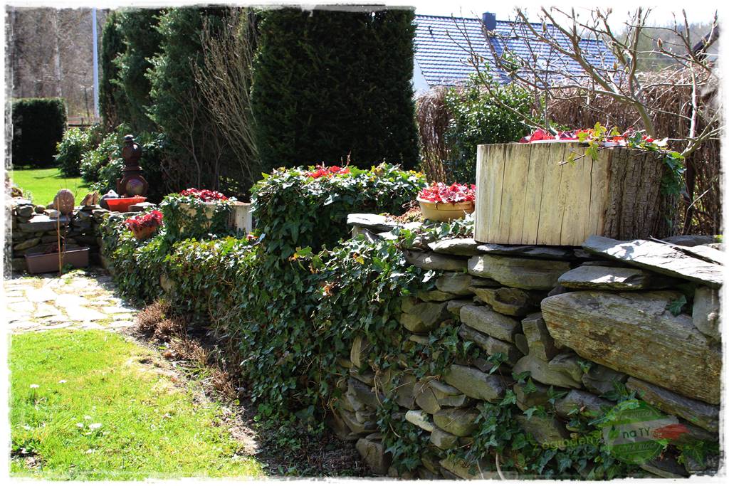 Górskie siedlisko 33