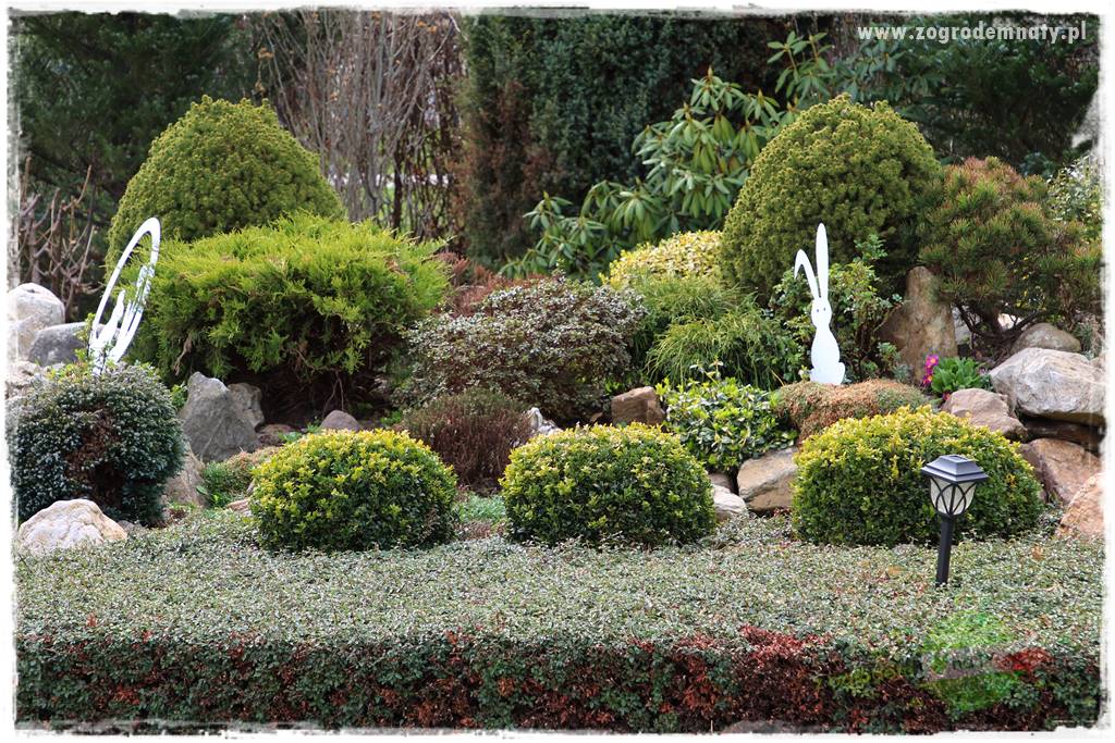 Górskie siedlisko 34