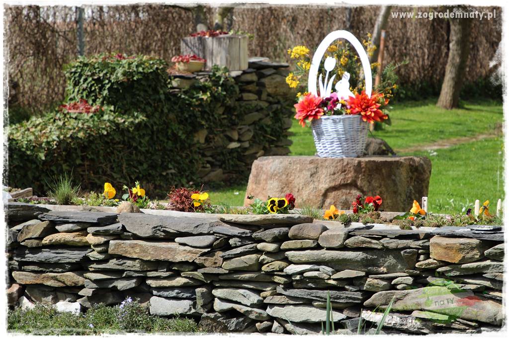 Górskie siedlisko 35