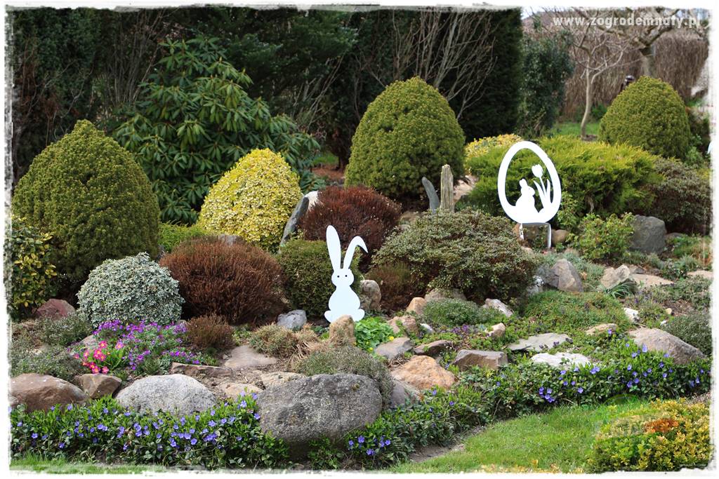 Górskie siedlisko 36