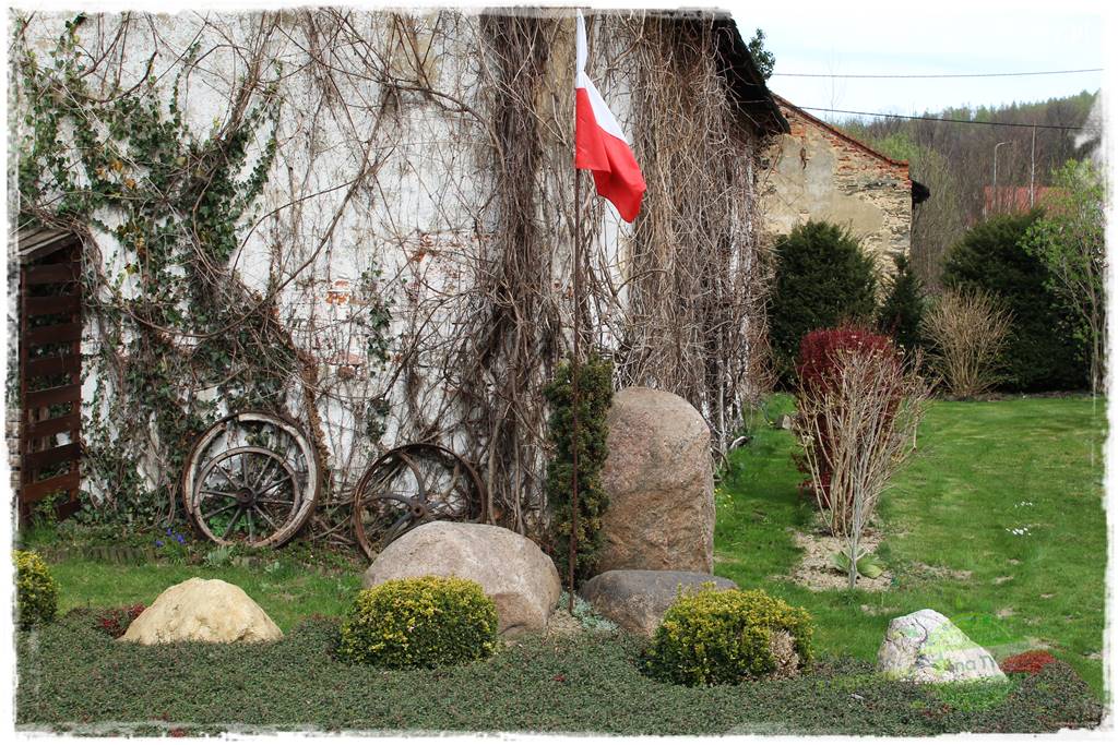 Górskie siedlisko 38