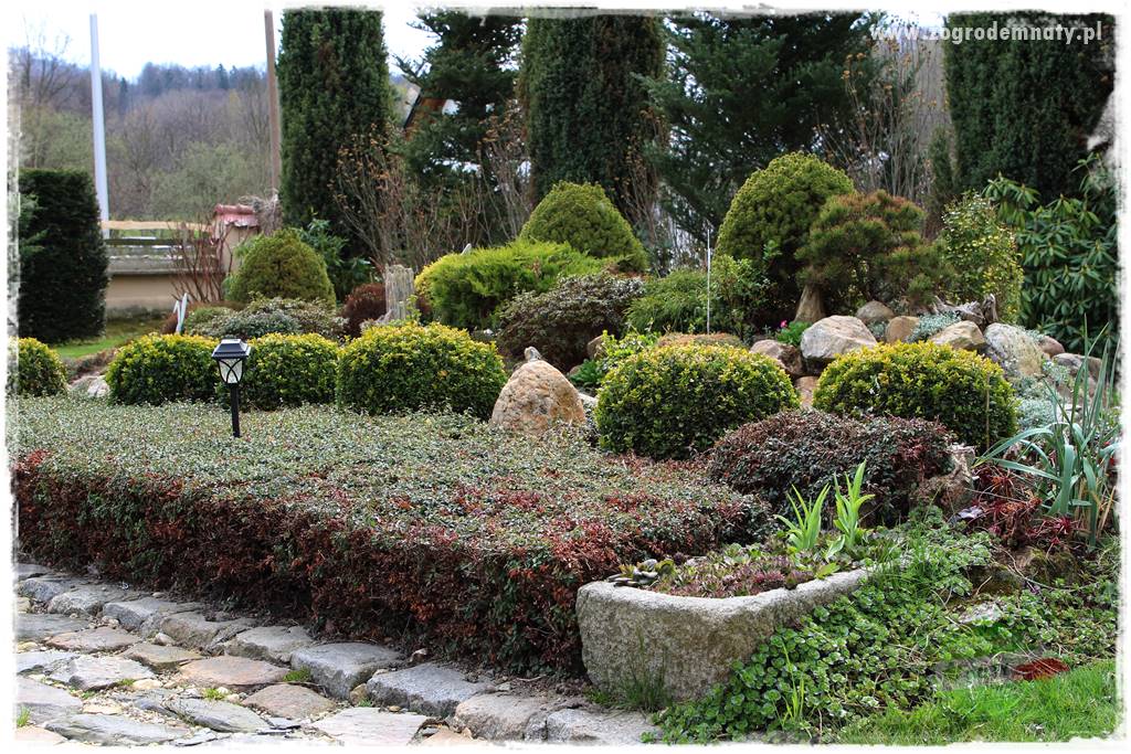 Górskie siedlisko 4