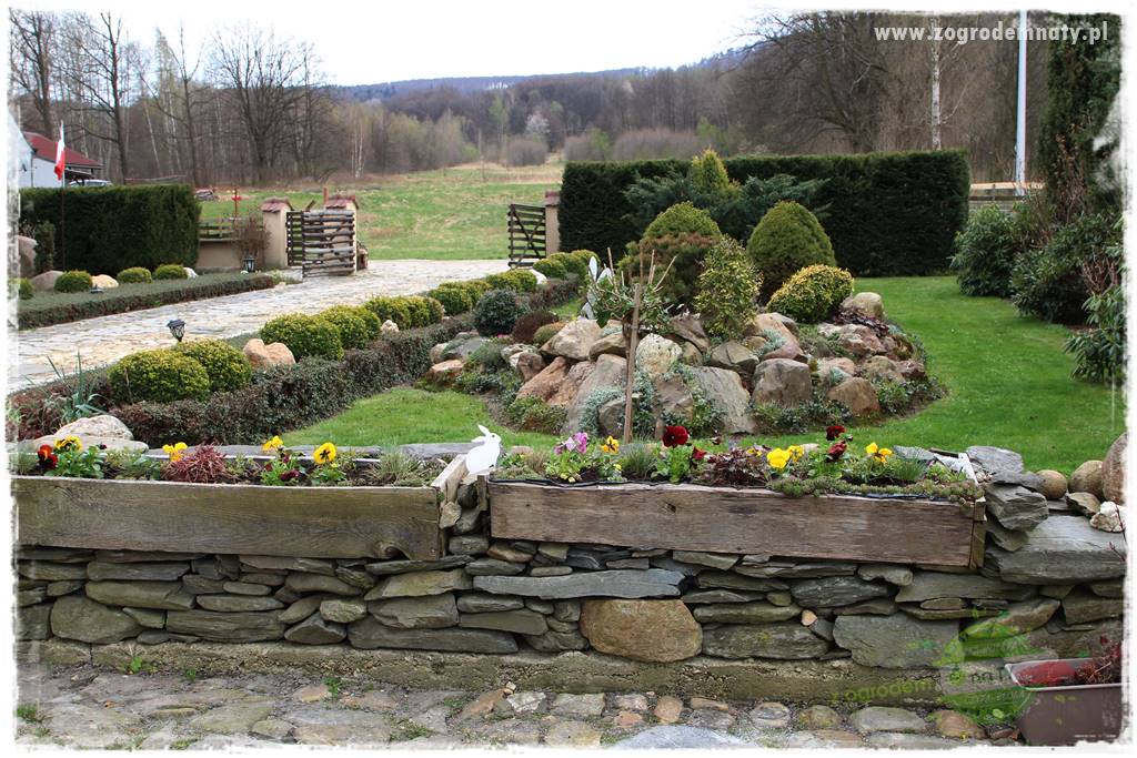 Górskie siedlisko 5