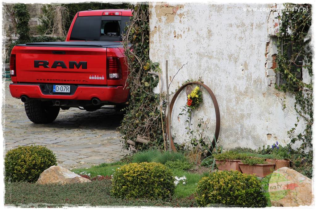 Górskie siedlisko 6