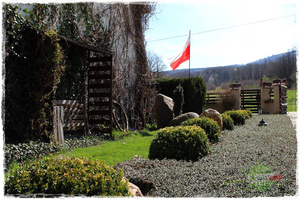 Górskie siedlisko 7