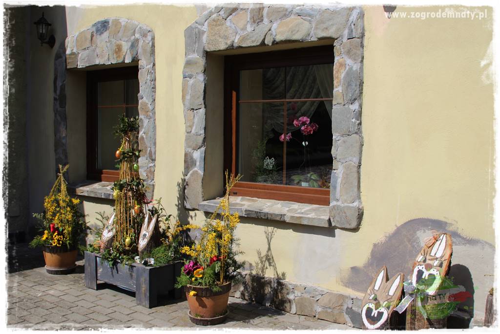 Górskie siedlisko 8