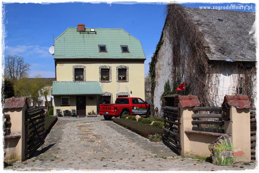 Górskie siedlisko 9