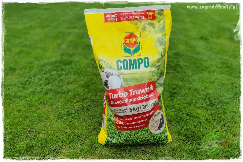 Jak dbać o trawnik użytkowy 18