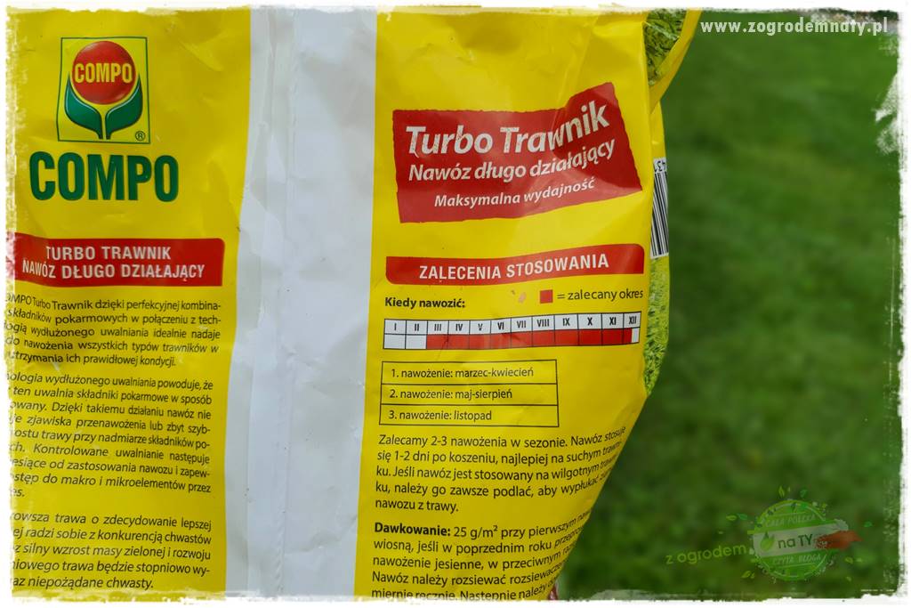 Jak dbać o trawnik użytkowy 19