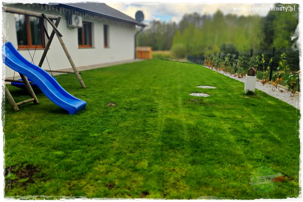 Jak dbać o trawnik użytkowy 2