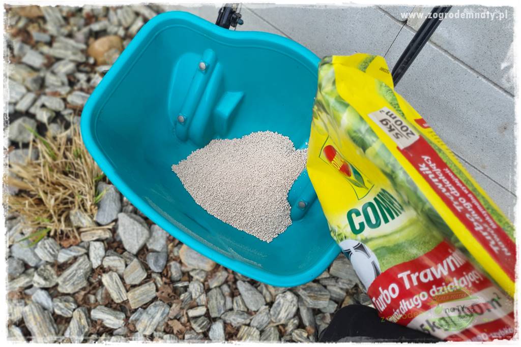 Jak dbać o trawnik użytkowy 21