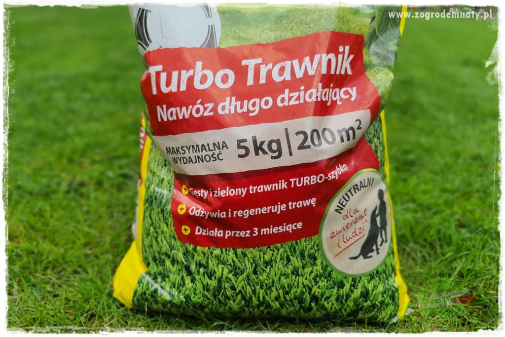 Jak dbać o trawnik użytkowy 23