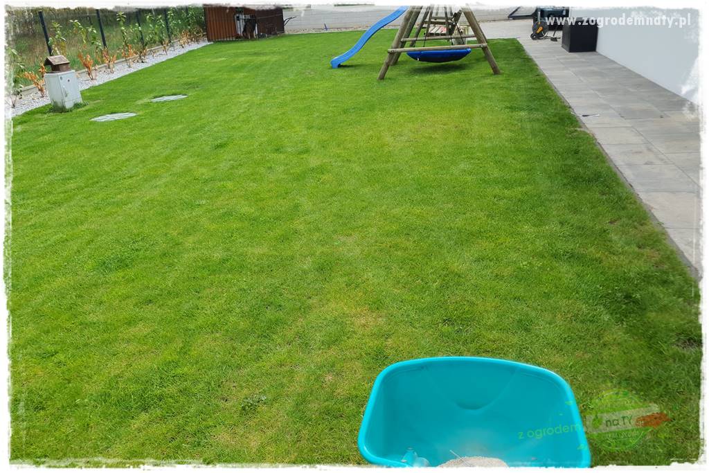Jak dbać o trawnik użytkowy 24