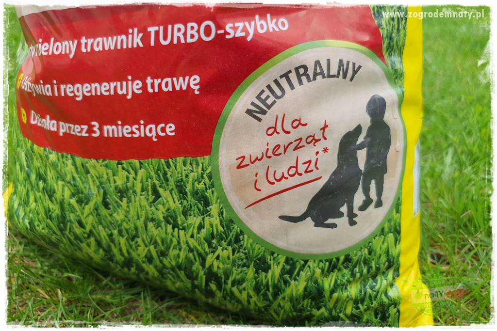 Jak dbać o trawnik użytkowy 26