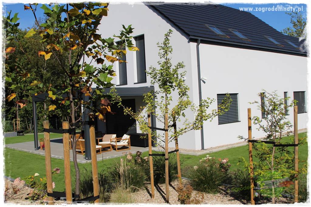 Jak sadzić krzewy z odkrytym korzeniem 12 Jak sadzić krzewy z odkrytym korzeniem 12